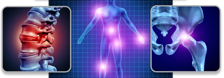 Digital illustration highlighting pain points in the spine, hips, and joints, with close-up views of spinal and pelvic structures.